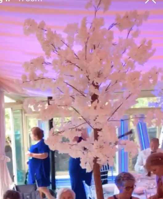 o meu estilo de casamento - 6