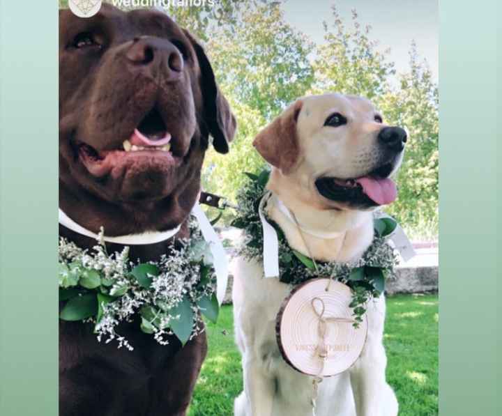 Meninos as alianças 💍 - 1