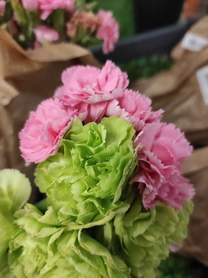 Bouquet de noiva?! - 1