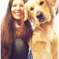 Companheiro de 4 patas