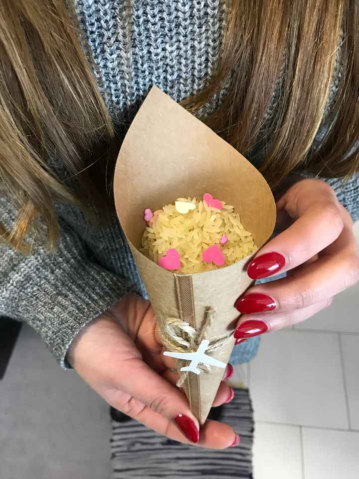 Cones e tubos de ensaio para o arroz ✅ - 2