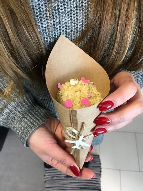 Cones e tubos de ensaio para o arroz ✅ - 2