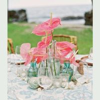 Aqui esta as cores que eu cor e tema!! - 3