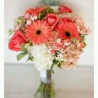 Aqui esta as cores que eu cor e tema!! - 3