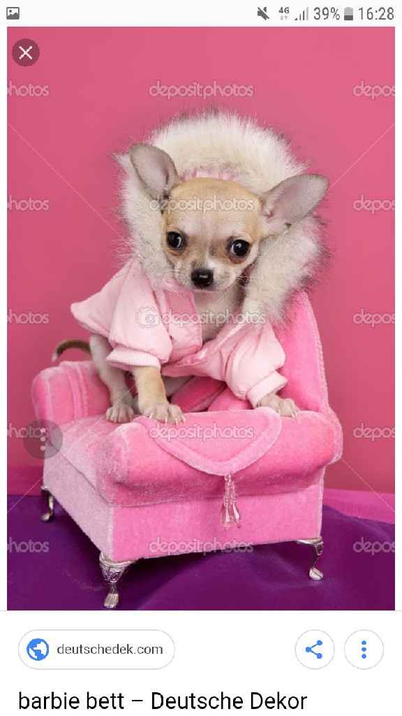 Amigos de 4 patas in pink - 1