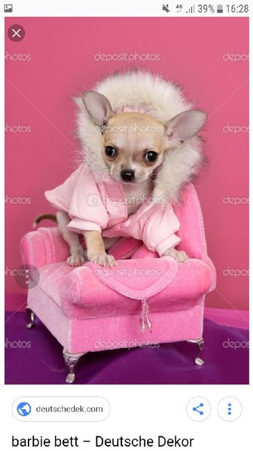 Amigos de 4 patas in pink - 1
