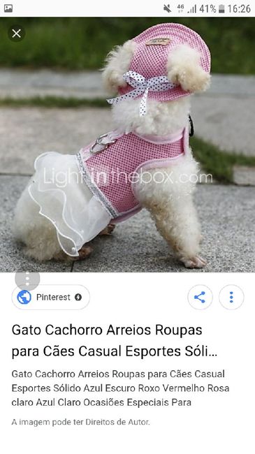 Amigos de 4 patas in pink - 4