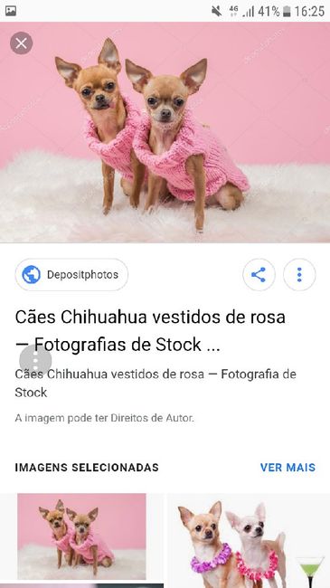 Amigos de 4 patas in pink - 7