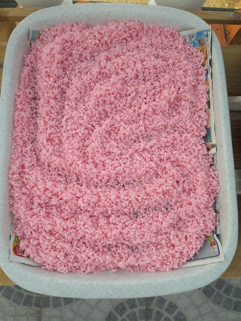 Bebs's wed - o arroz colorido - 1