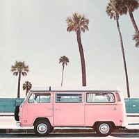 Outubro Rosa - carro dos noivos - 4
