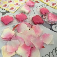 Pétalas e autocolantes para lembranças - 5