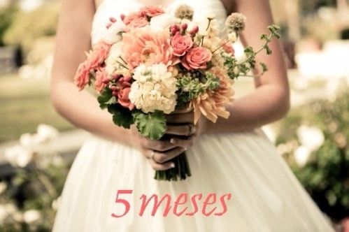 Faltam 5 meses