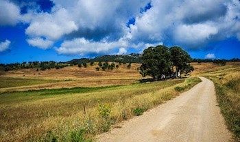 Quinta do Pisão
