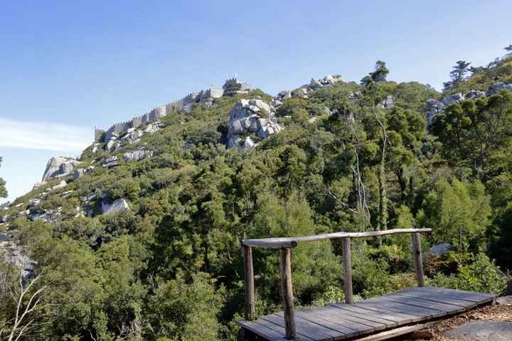 Vila Sassetti 3