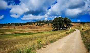 Quinta do Pisão