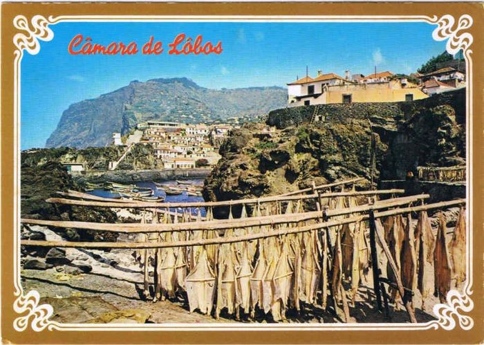 Postal Câmara de Lobos