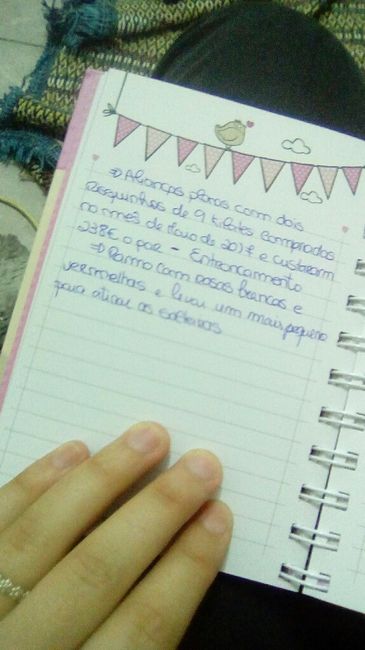 Diario da noiva - 8