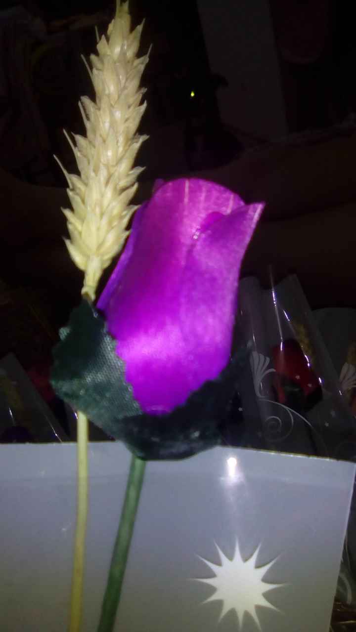 Roxo ou lilás