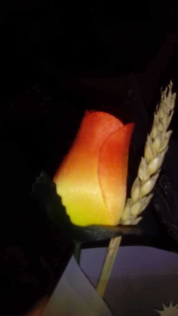 Laranja & Amarelo