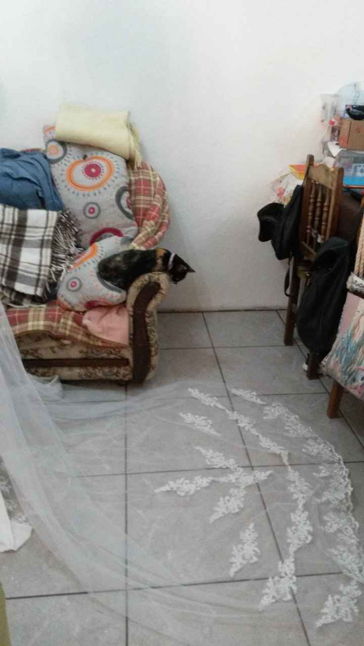 Promenor do véu