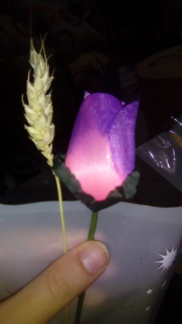 Roxo & Rosa