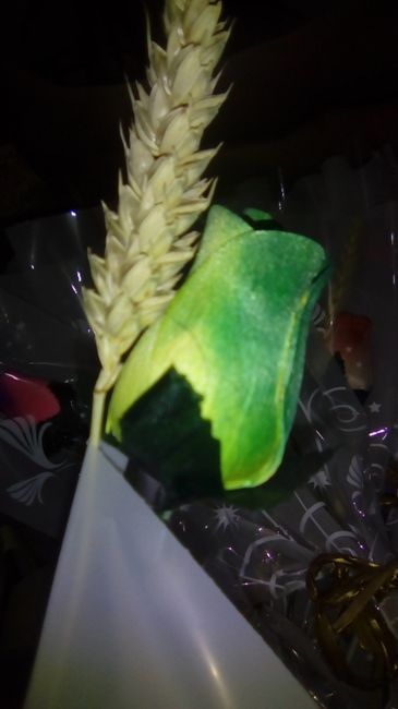 Verde & Amarelo