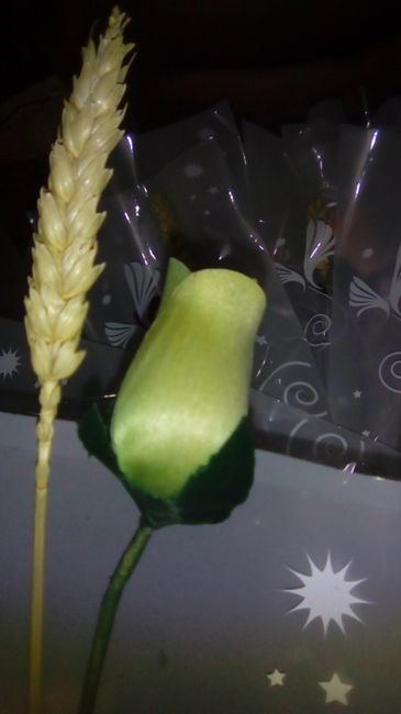 Verde tropa