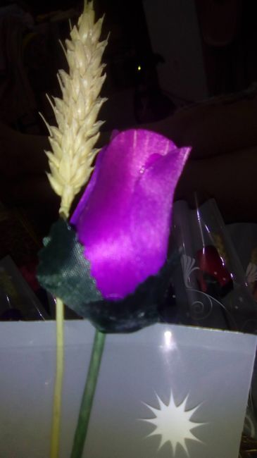 Roxo ou lilás