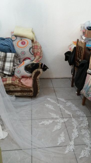 Promenor do véu