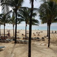 Escolha da lua de mel - 1