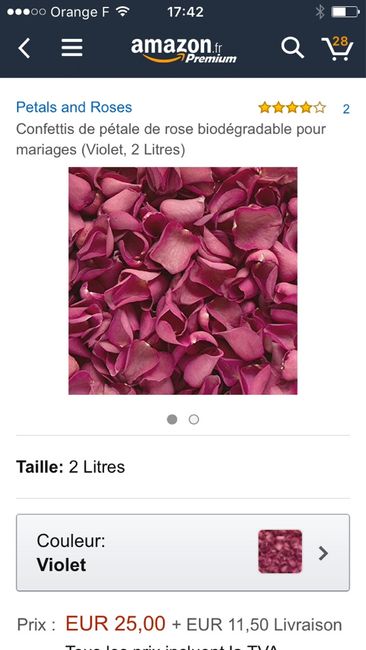 Pétalas de rosa fuchia - 1