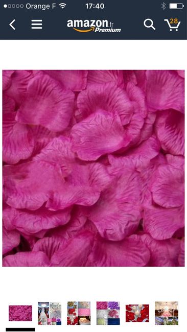 Pétalas de rosa fuchia - 2