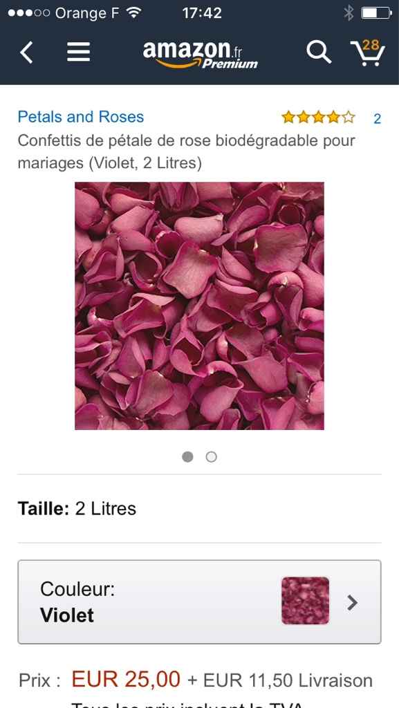 Pétalas de rosa fuchia - 1