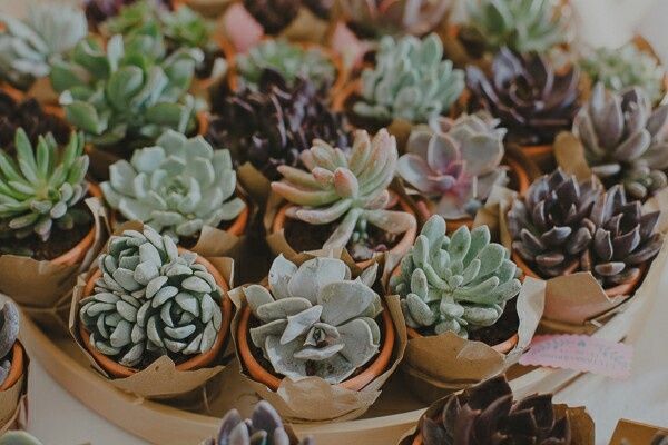 Lembranças- ajudem sff - 1