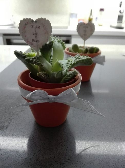 Suculentas lembranças - 1