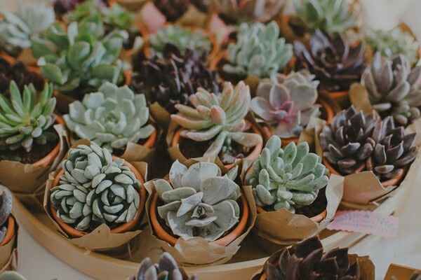 Brindes/prendinhas aos convidados - 1