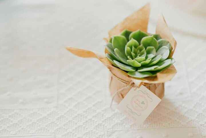 Meninas que deram lembrancas suculentas ajuda!!! - 1