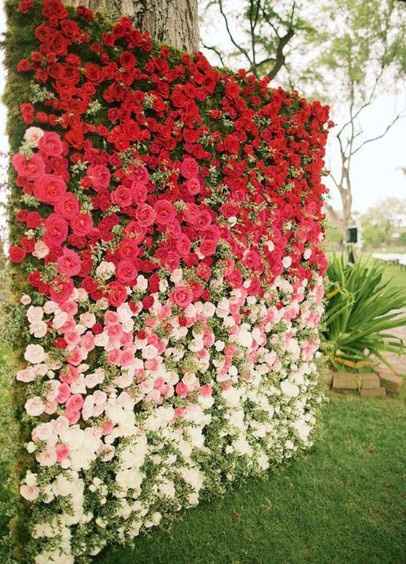 Img. 10