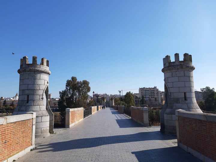 Img.1