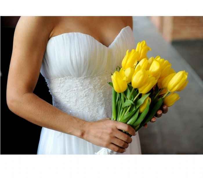 Tema Aves - Cor base Amarelo