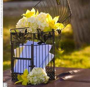 Tema Aves - Cor base Amarelo