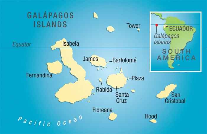 Lua de Mel - Galapagos