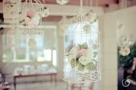 Tema Aves