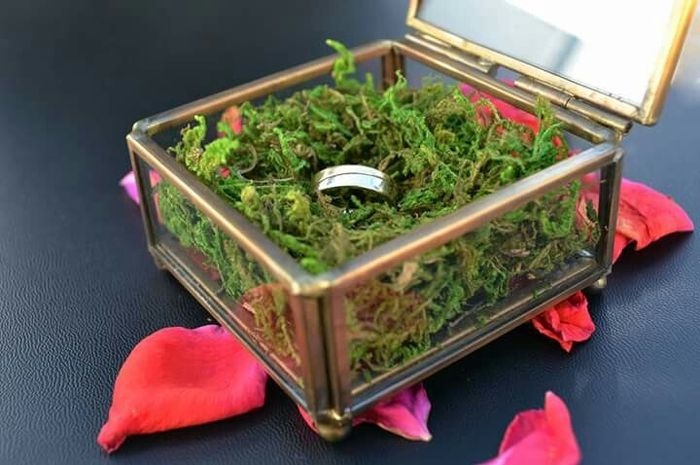 Cestos, almofadas e caixinhas! - 2