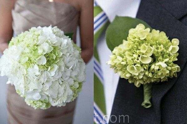 Bouquet branco?? - 1