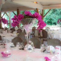  Decoraçao com orquideas - 3
