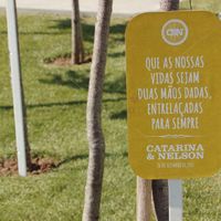 placas