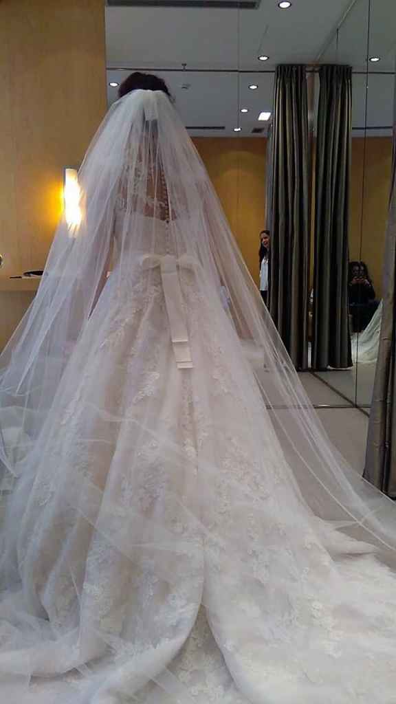 Prova do vestido - 1