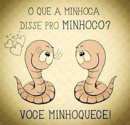 Fofinhos