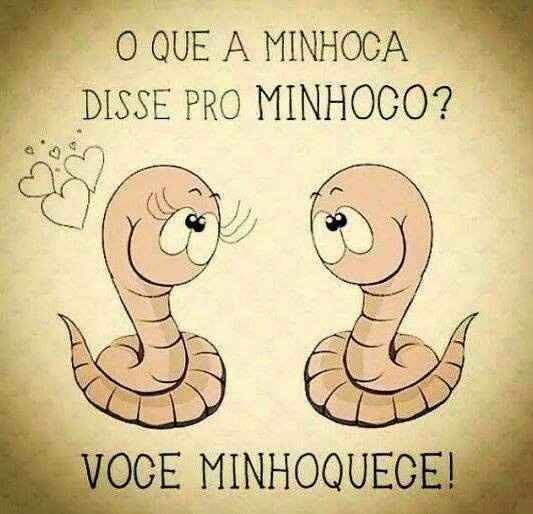 Fofinhos